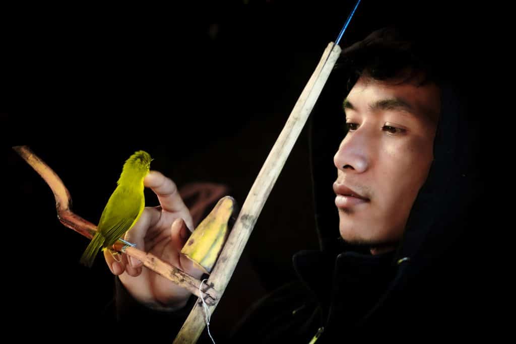 8 Most Beloved Actor and Actress Profiles in Asian Dramas